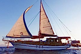 SEA STAR