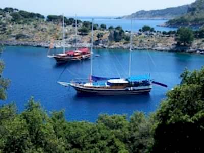 Mini Blue Cruises